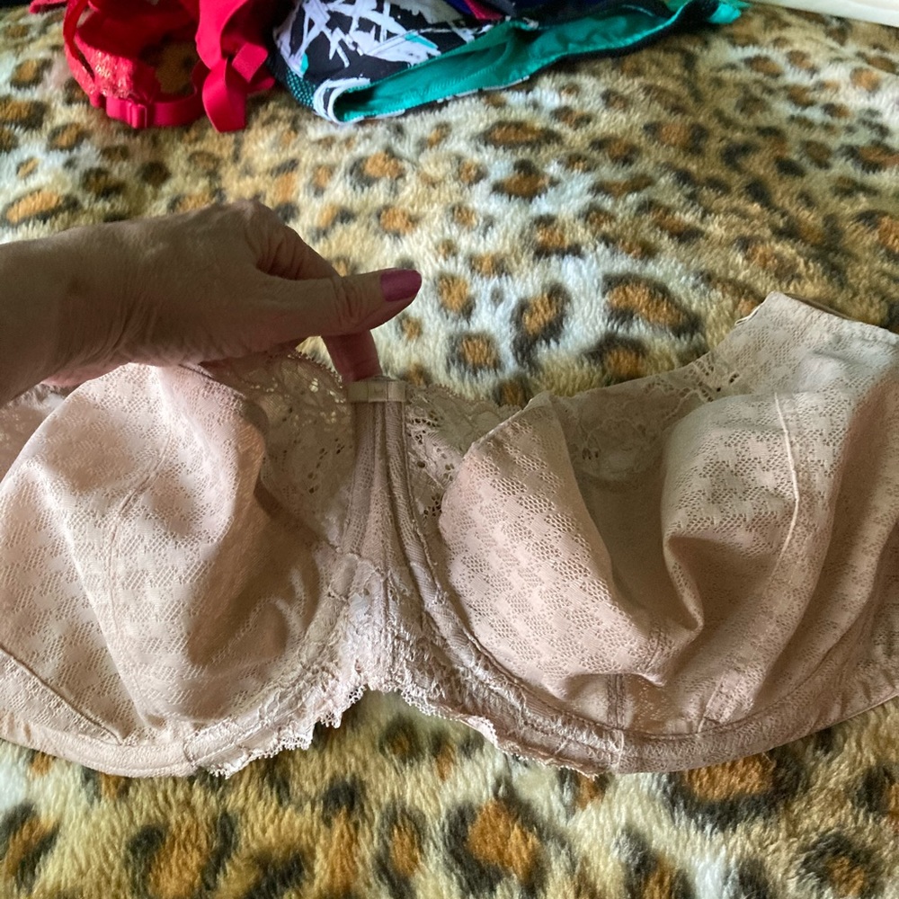 Panache Beige Lace Bra 36J